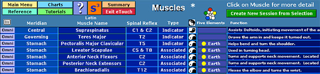 Muscles List