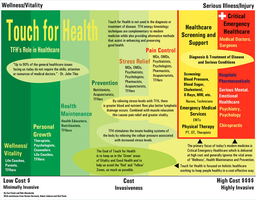 Touch for Health Wellness Chart