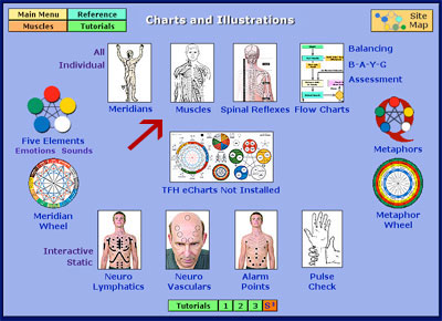 Charts Menu