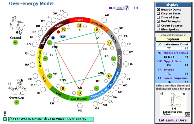 Meridian Wheel