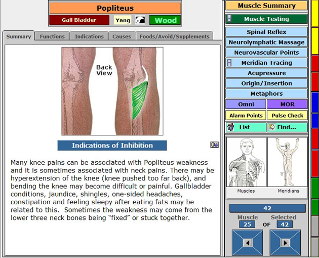 Popliteus Summary