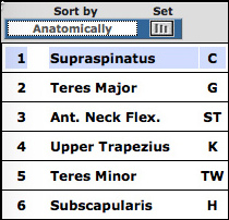 Anatomical Order